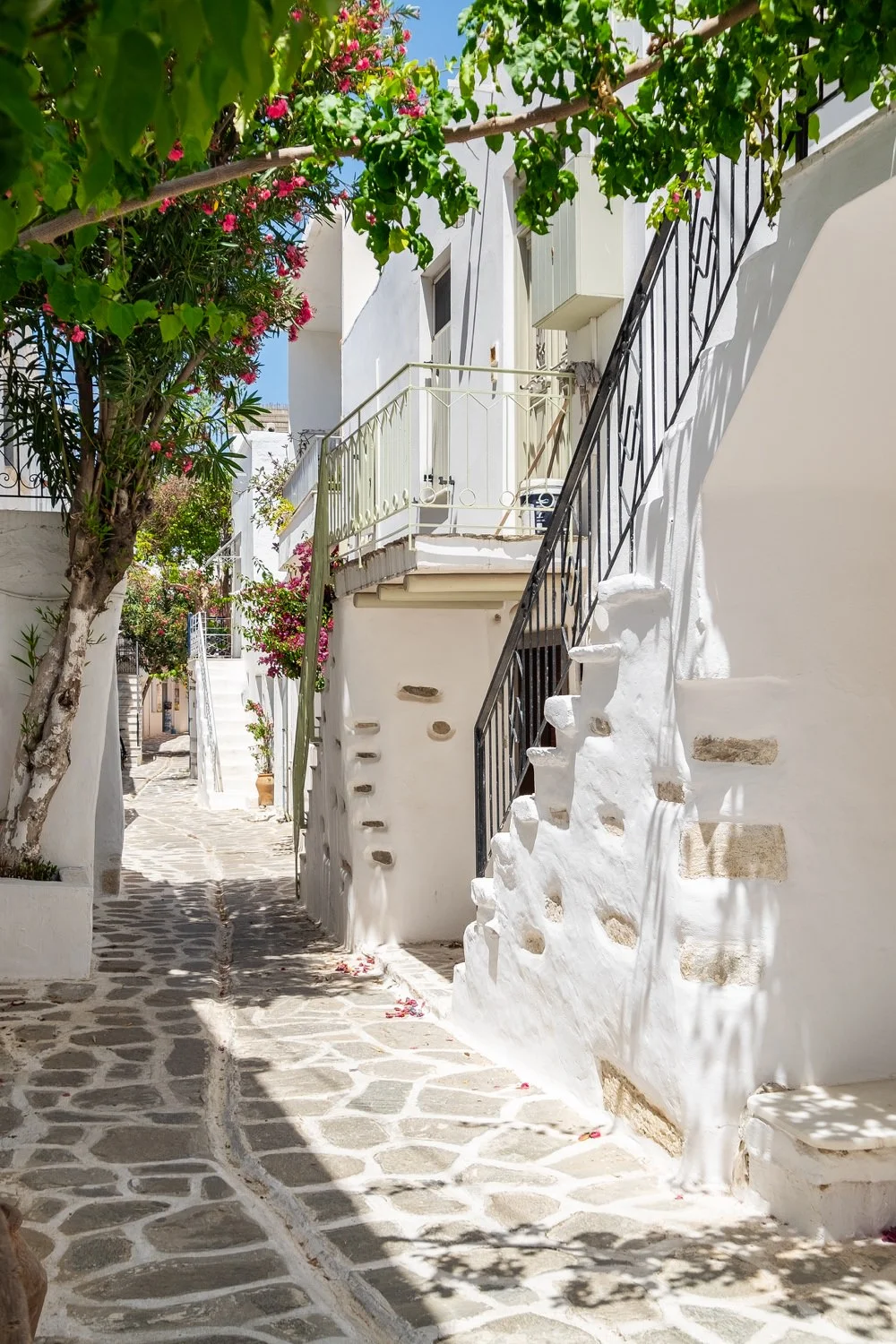 Echo The Designer House